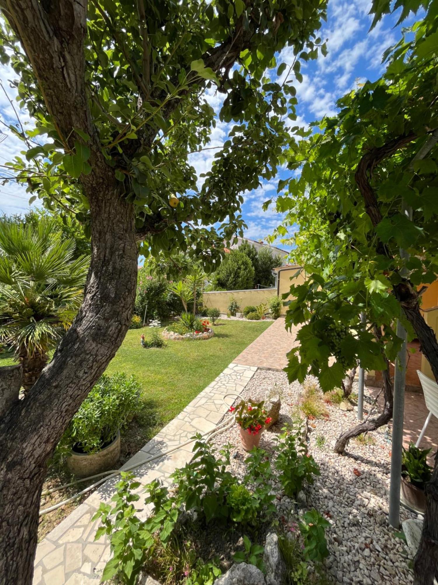 Apartments And Rooms Markovski Palit Luaran gambar